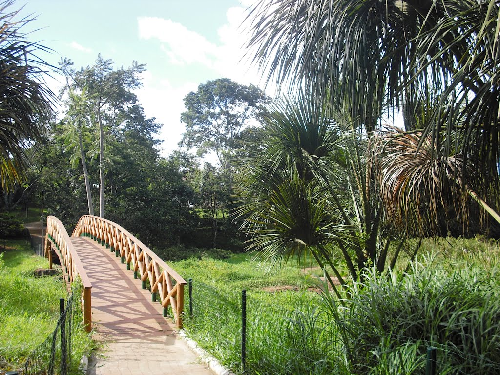 Ponte