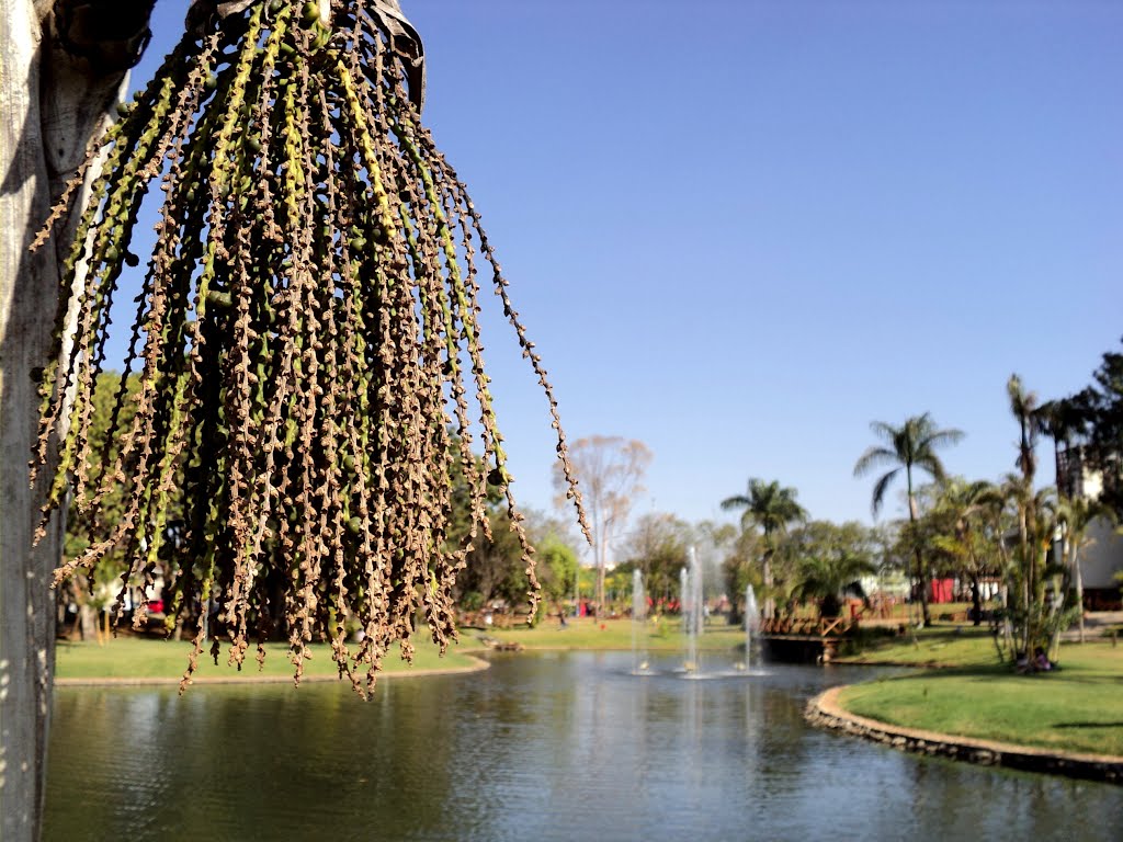 Parque Ipiranga