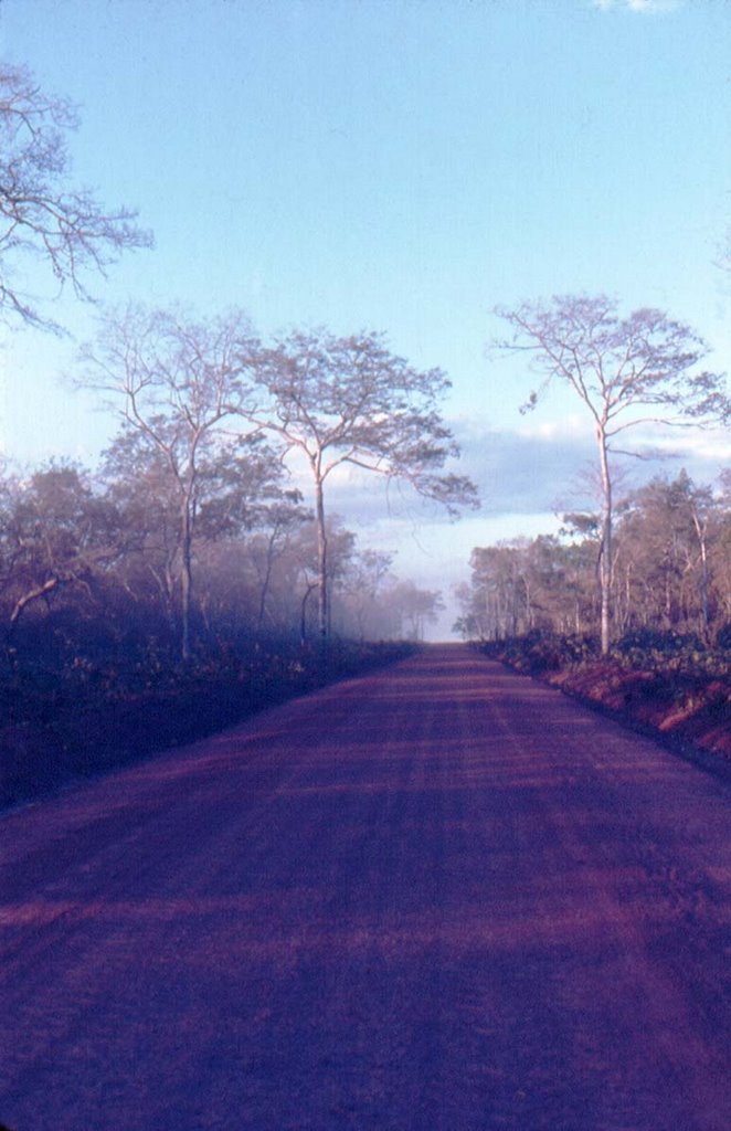 Grajaú