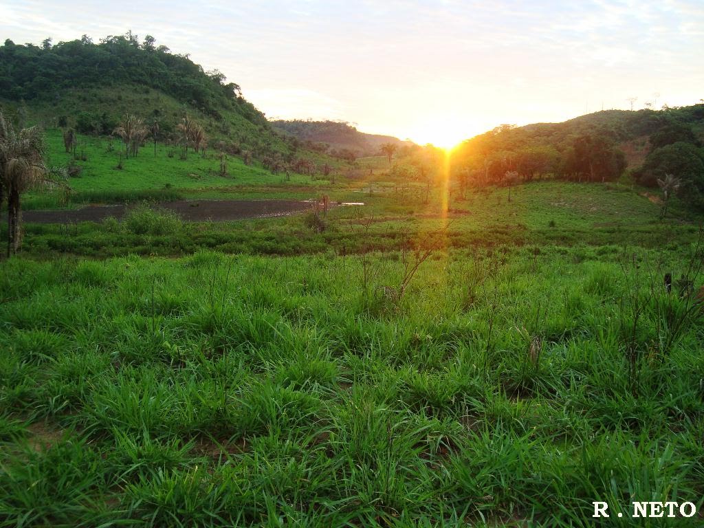 AMANHECER NA FAZENDA DO SR: NELSON EM SÃO MIGUEL MUNICIPIO DE TUNTUM - MA BRASIL