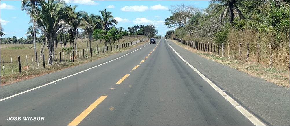 ROD. BR - 135 ENTRE PRES. DUTRA E SÃO DOMINGOS - MA