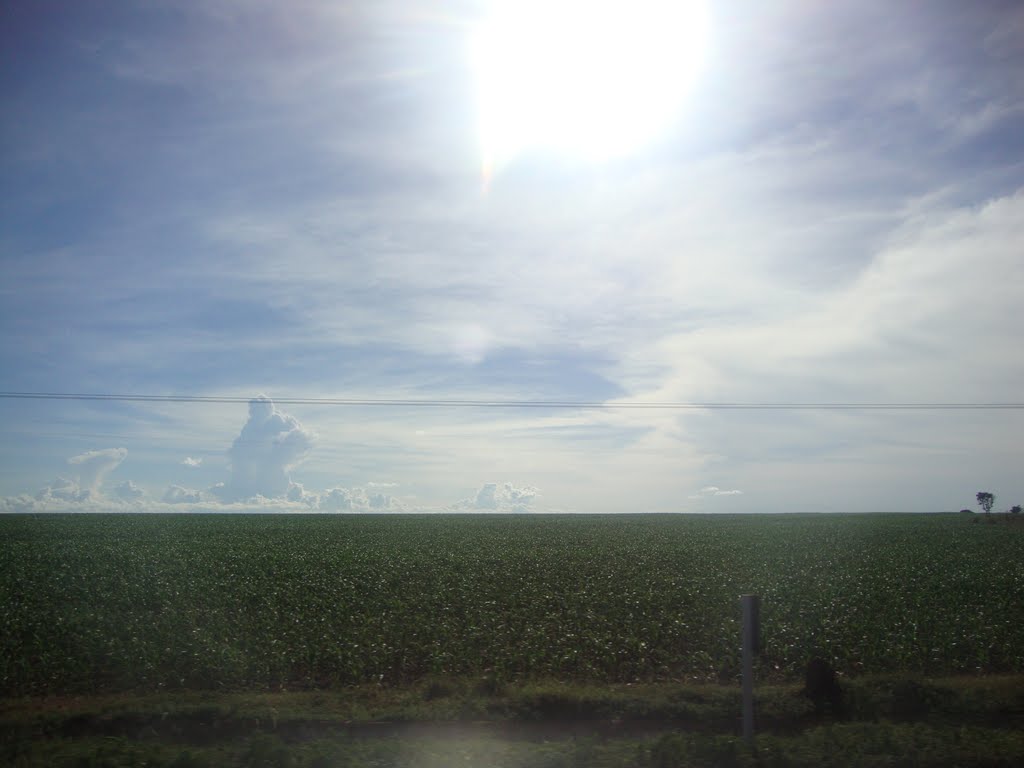 paisagem na beira da estrada