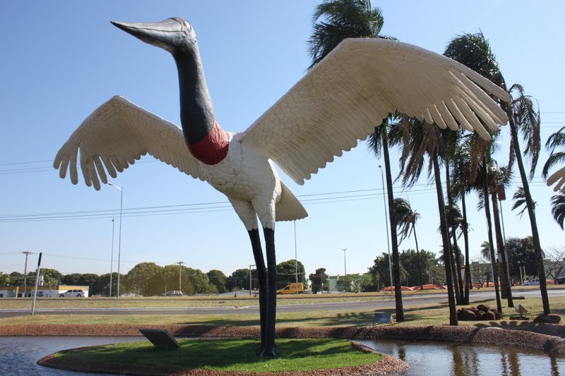 Campo Grande - MS