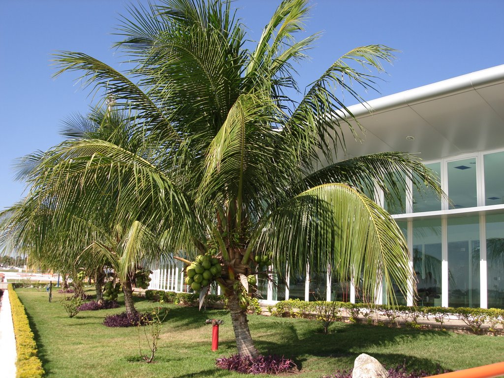 AEROPORTO DE CORUMBÁ