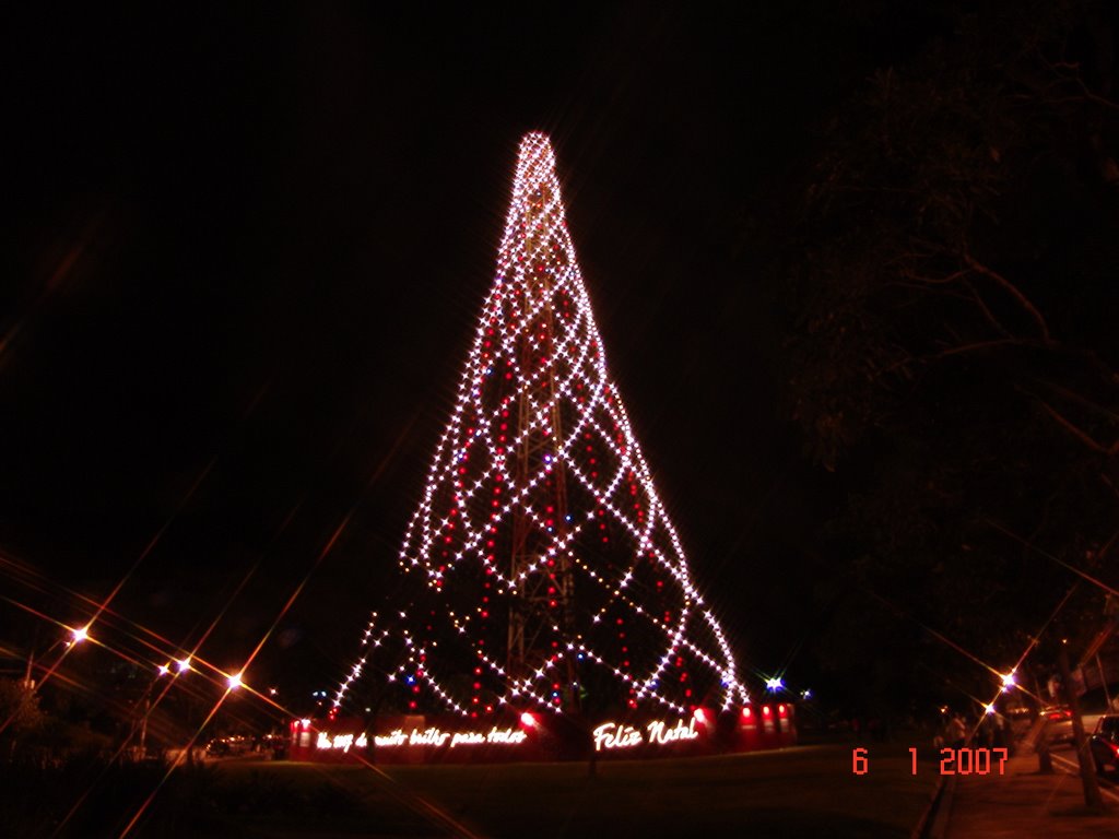 Árvore de Natal Praça Gov.Israel Pinheiro 19º 57 26.99" S 43º 54 53.70" W