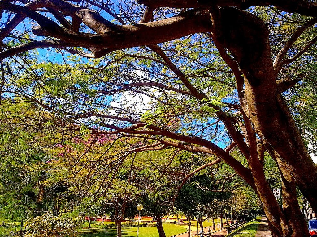 Praça JK Belo Horizonte, MG