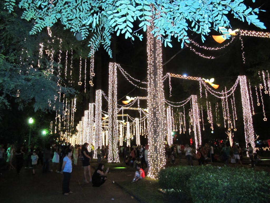 Sob as luzes do Natal... -  Under the lights of Christmas...