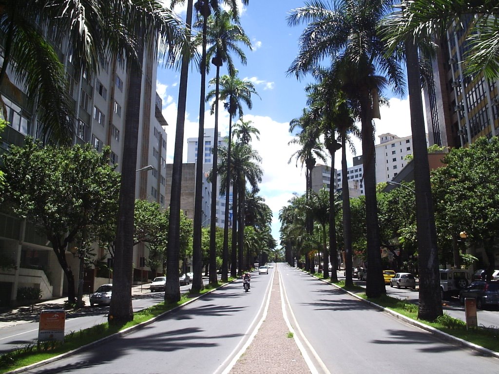 AV.BRASIL