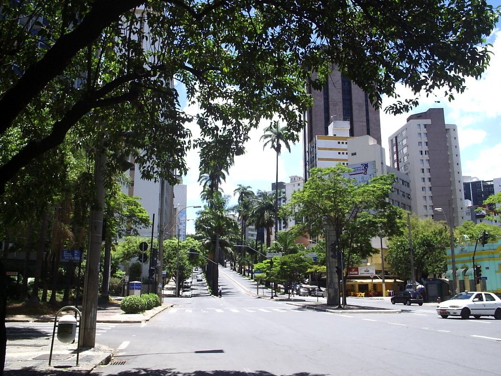 AV.BRASIL