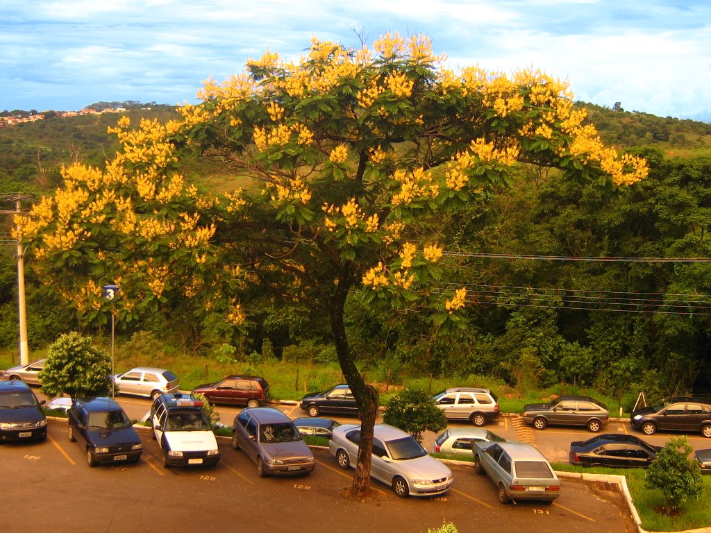 Estacionamento