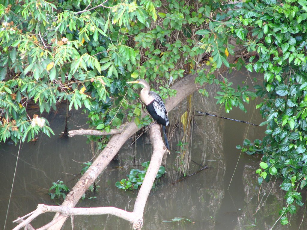 Margem do Rio Itapecerica