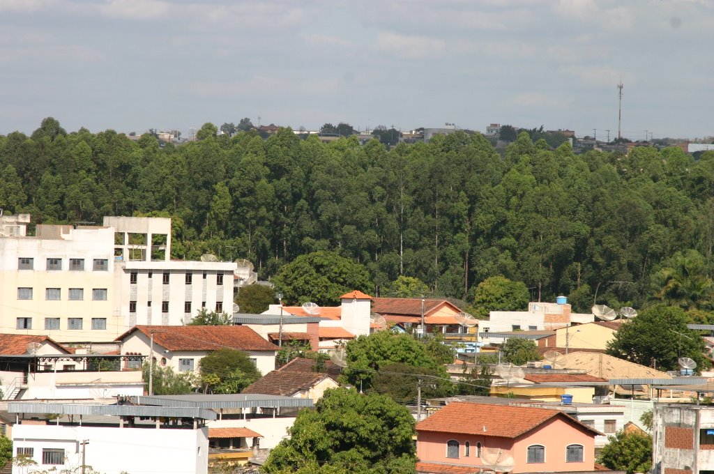 Porto Velho