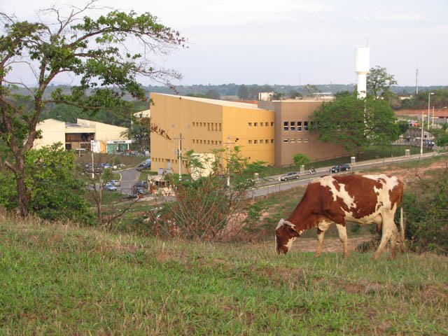 Pitágoras - Campus Fadom