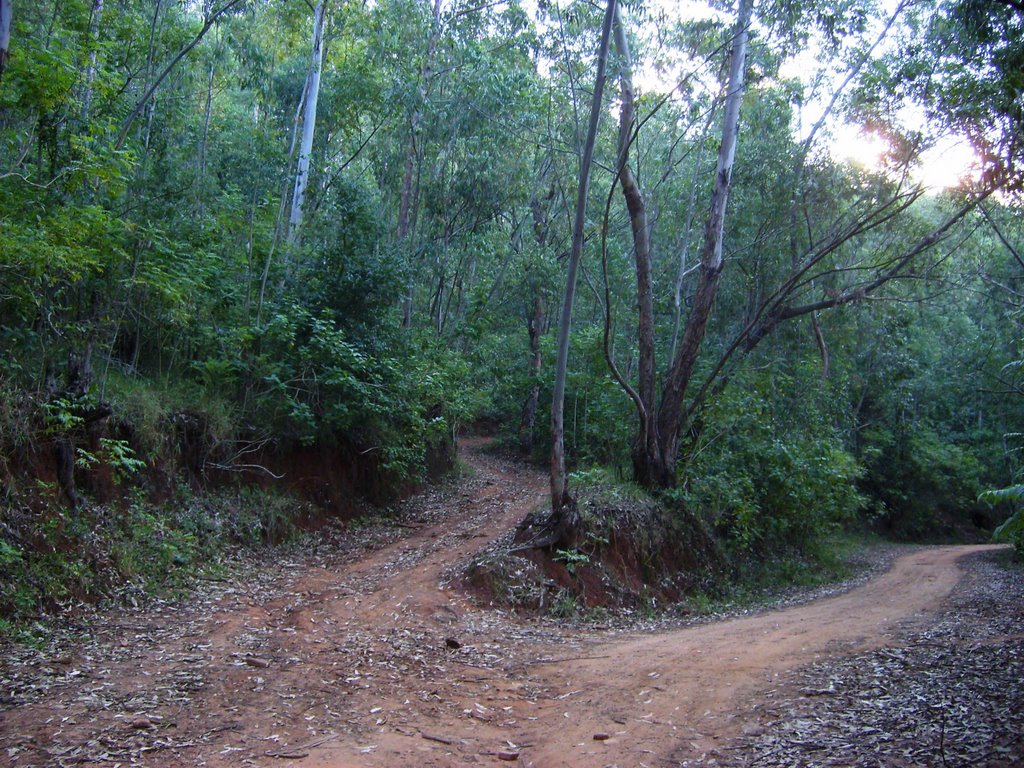 Estrada da Torre