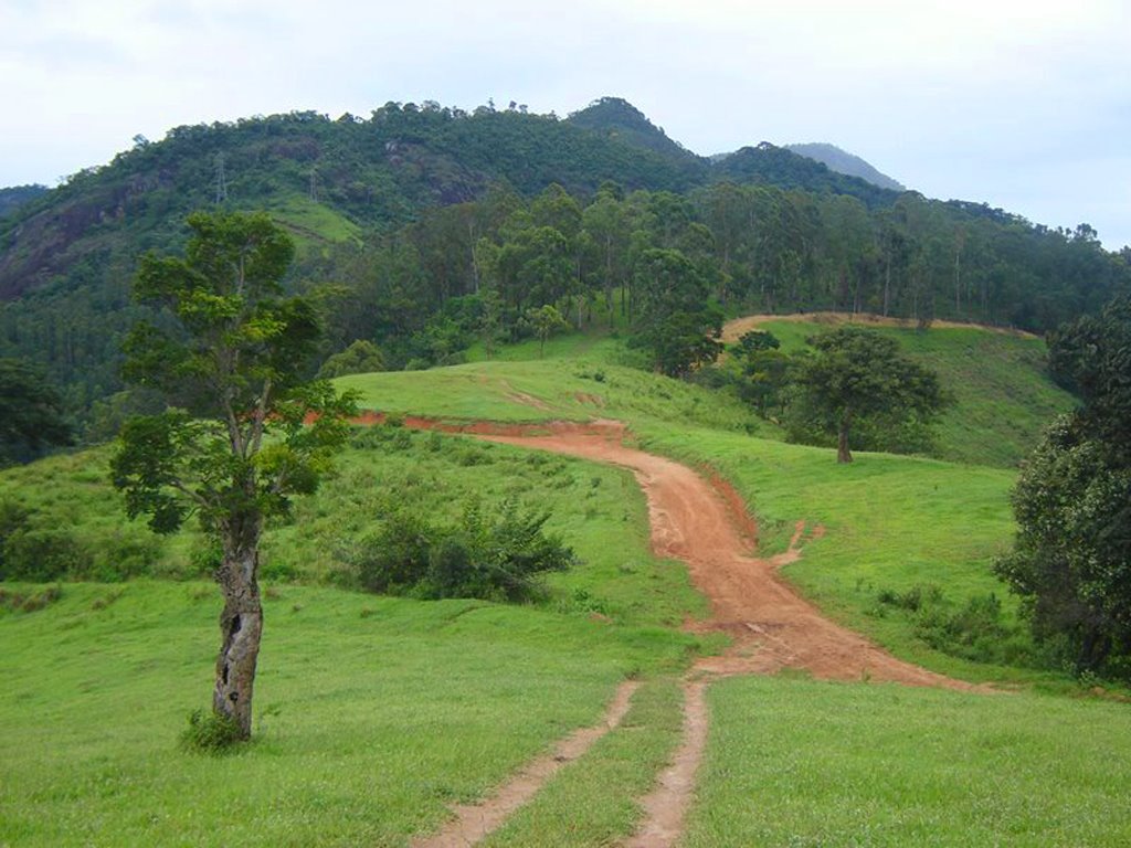 Pico do Galo e Pedra Aguda - Itajubá