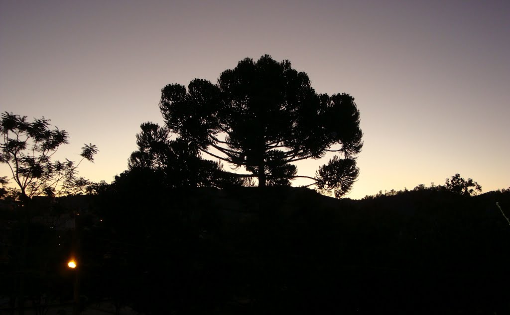A tarde vai se afastando, outra noite vai chegar...