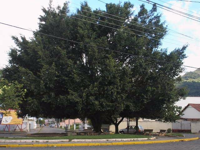 Praça Olinto Carneiro Vilela - Itajubá - MG