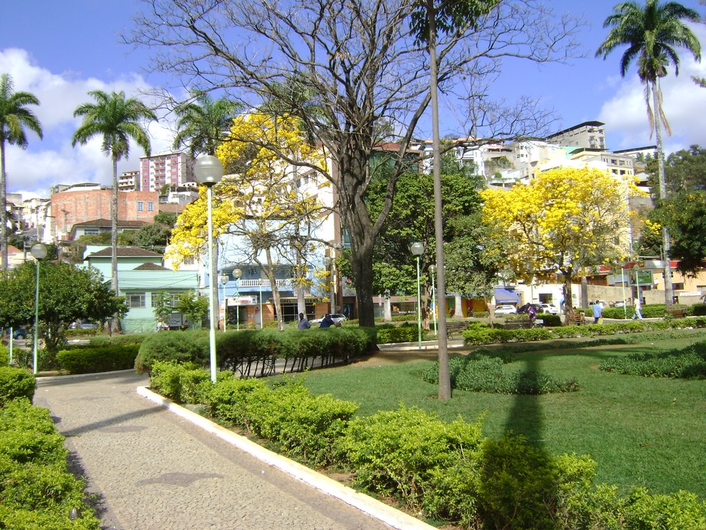 FLORA IPÊ PÇA CESÁRIO ALVIM