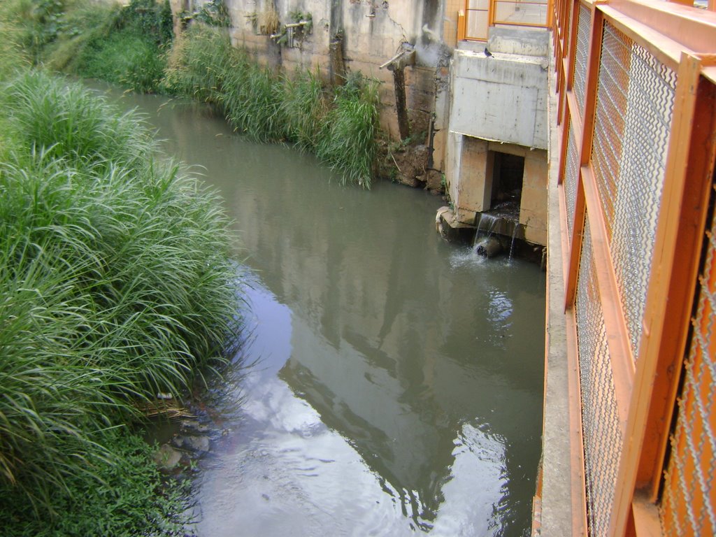 RIO CARATINGA - ponte estação