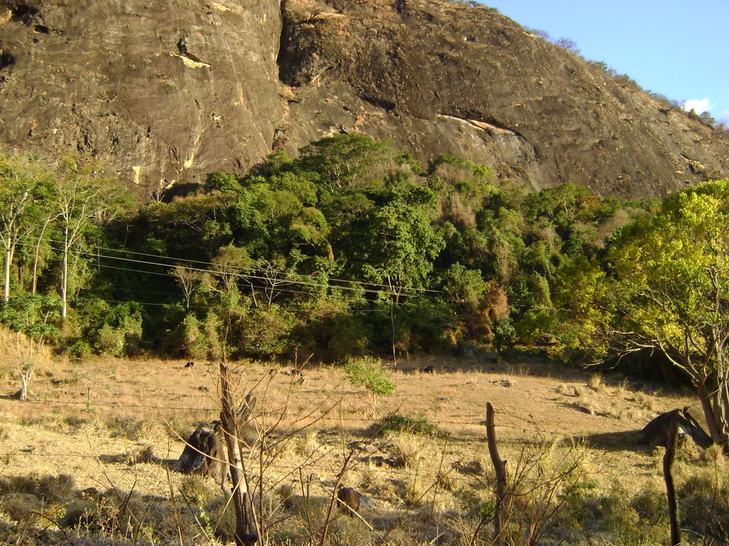 APA da PEDRA ITAÚNA