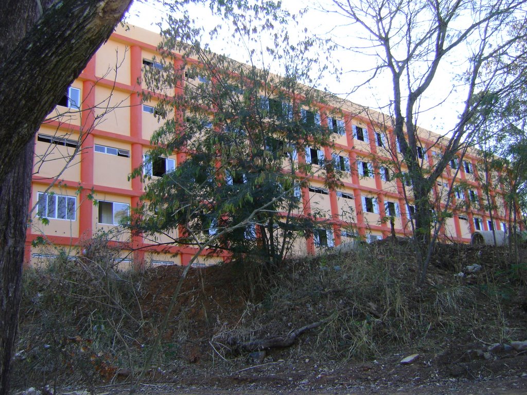 HOSPITAL MATERNIDADE