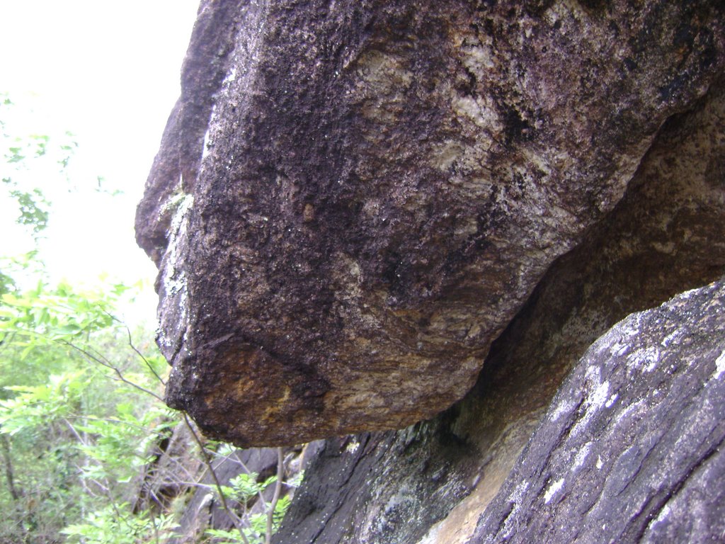 PEDRA da SERPENTE