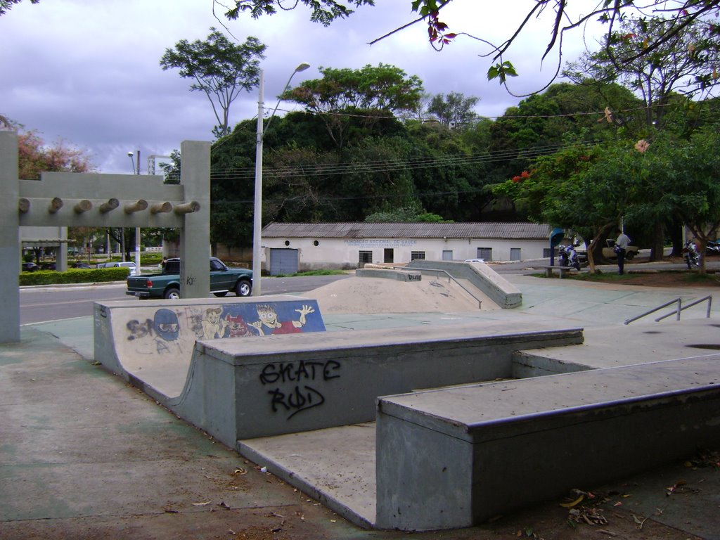 PISTA DE SKATE