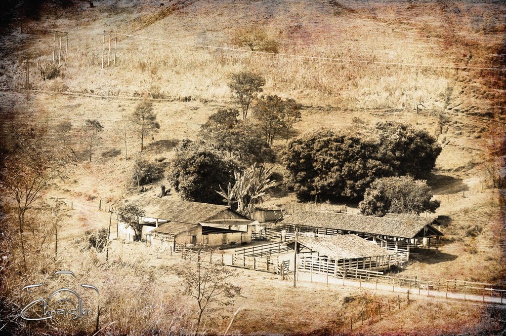 Fazenda