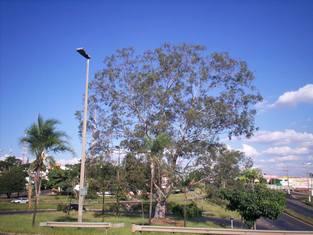 Uberlândia