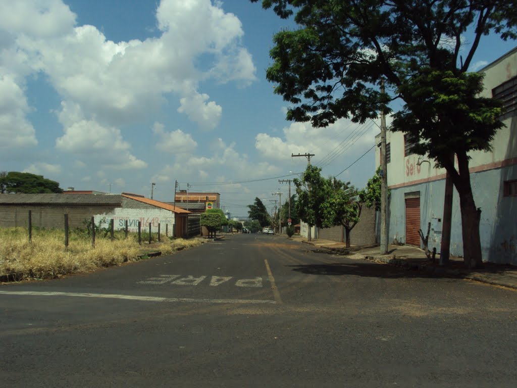 Bairro Marta Helena - 10/2010