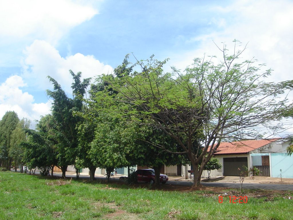 Av. Balaiadas - B. Marta Helena