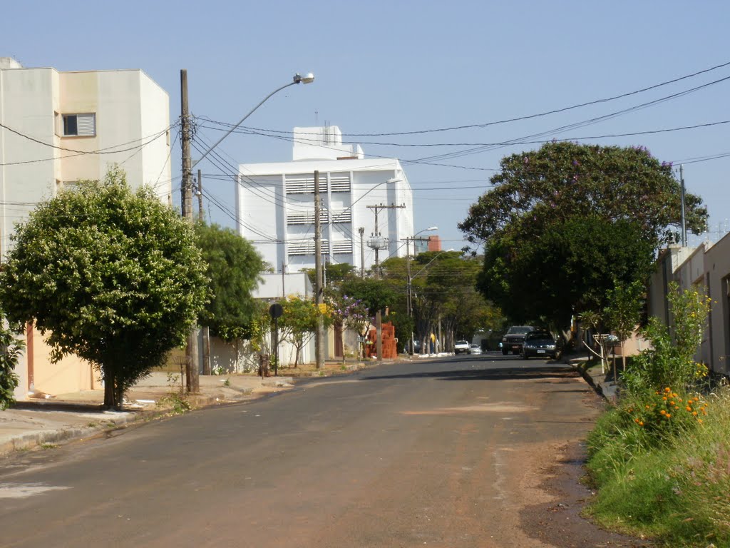 Centro de Formação Permanente - UFU - Uberlândia-MG