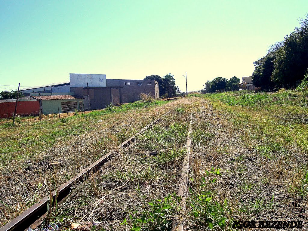 [ Trilhos Originais da Mogiana (CMEF) do final do século XIX,ainda existentes no bairro Marta Helena]
