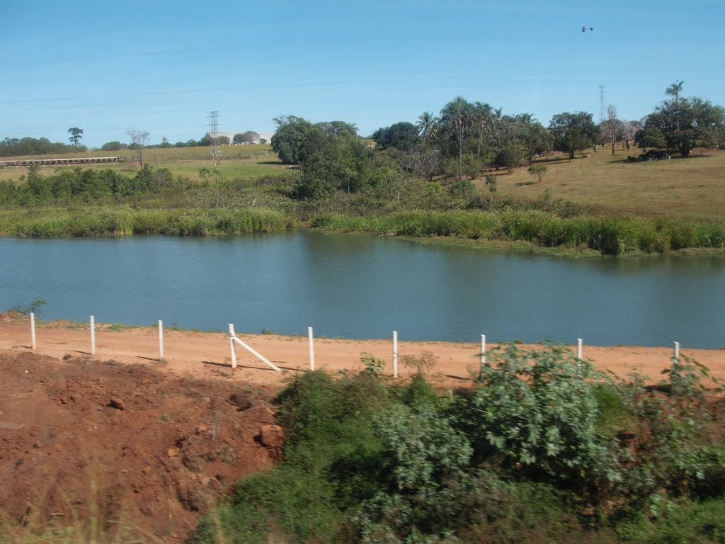 Uberlândia MG