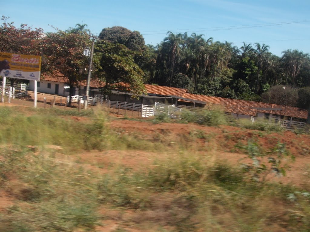 Uberlândia MG
