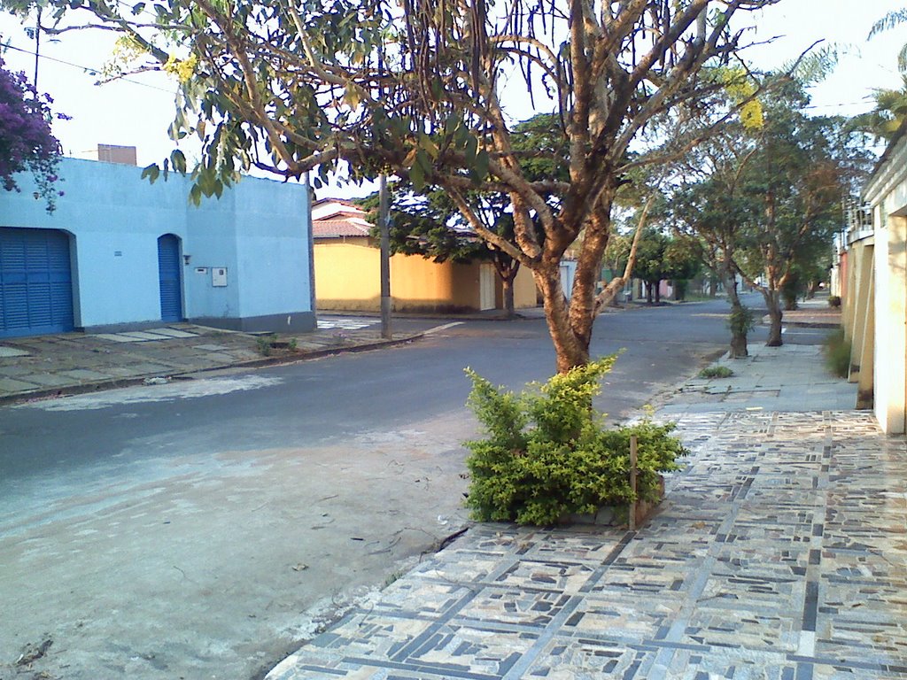 Av. Terezina, Jardim Umuarama