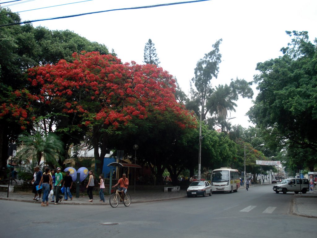 11/08 - Praça central, Praça central,  Teófilo Otoni, MG - BR