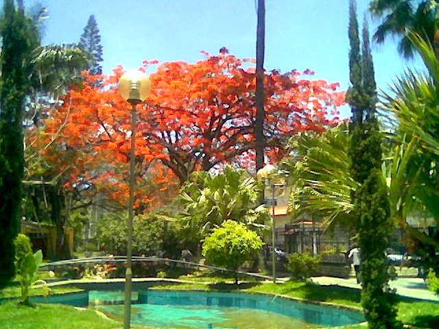 praça Tiradentes - Teofilo Otoni