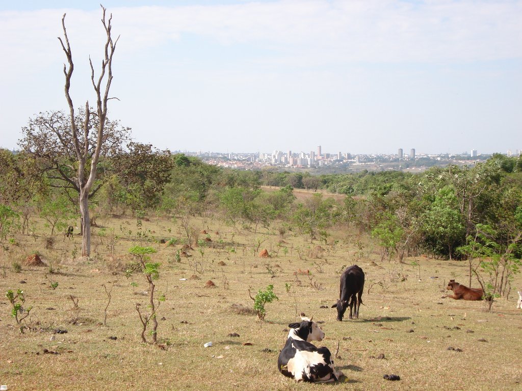 Vista Uberaba MG