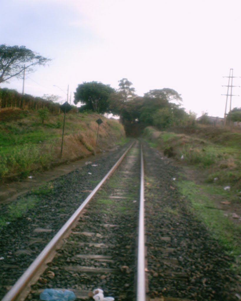 Linha férrea "Ferrovia Centro-Atlântica" 2