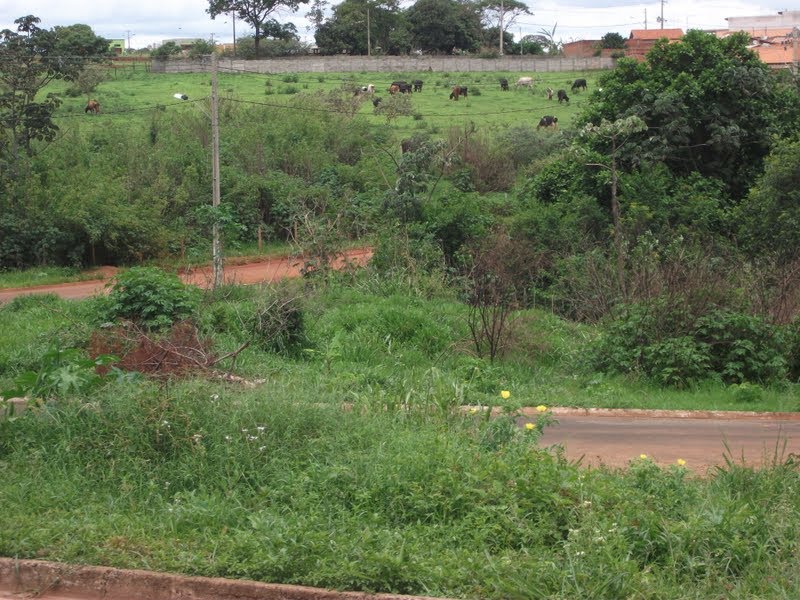 fazenda da  lucimar!