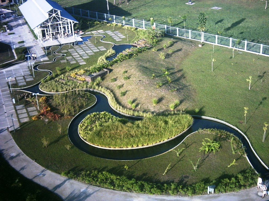 Mangal da Garças - Panoramica