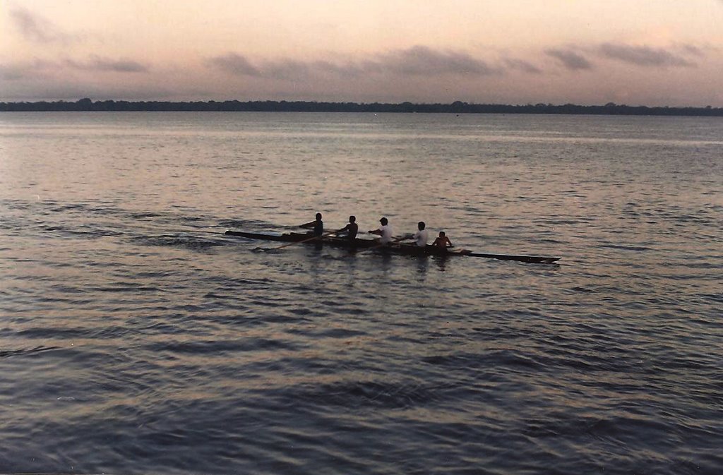 Remadores (regata no Rio Amazonas)