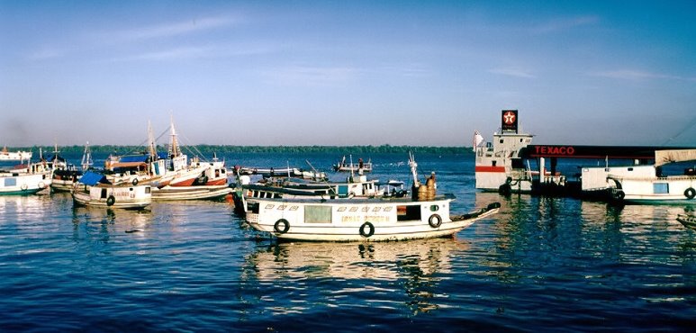 Barcos pô-pô-pô, abastecendo na baía do Guajará