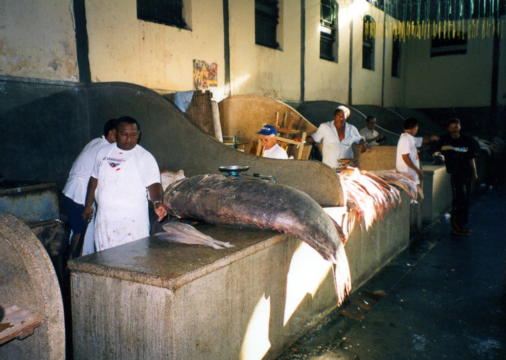 Belem Fish Market