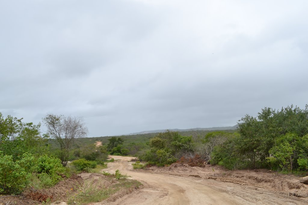 Em busca dos picos...