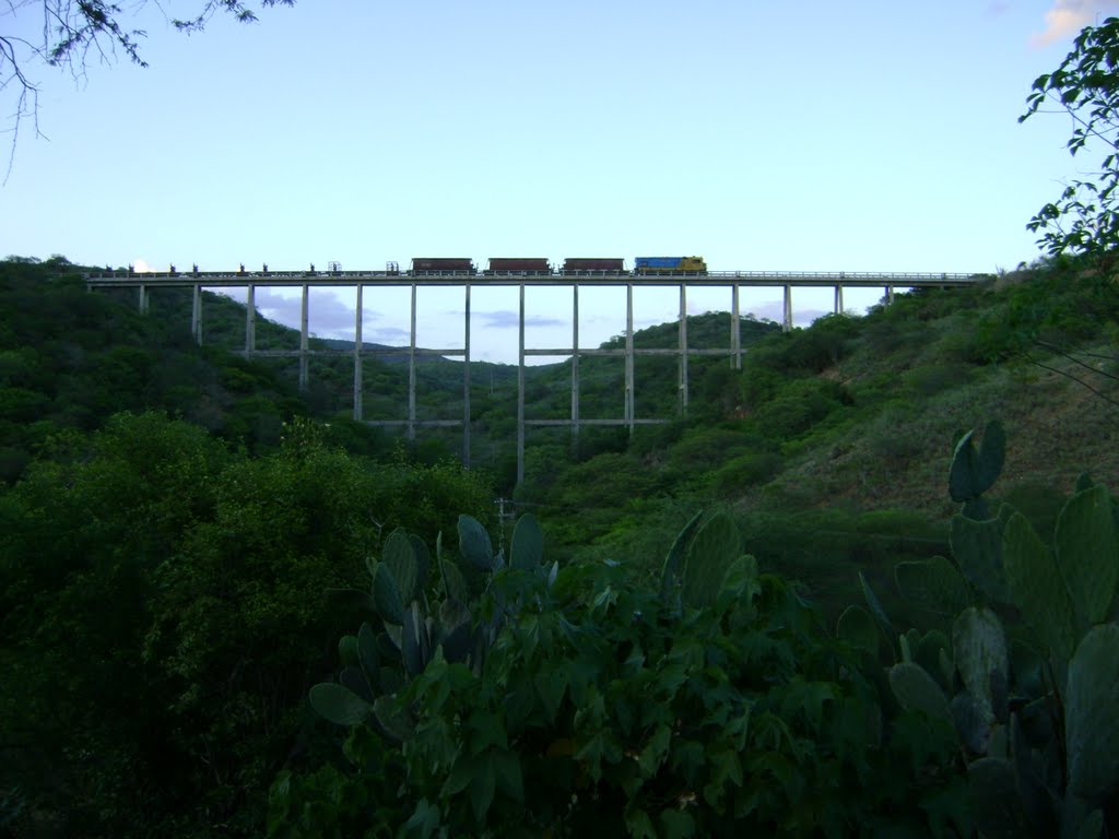 Taperoá