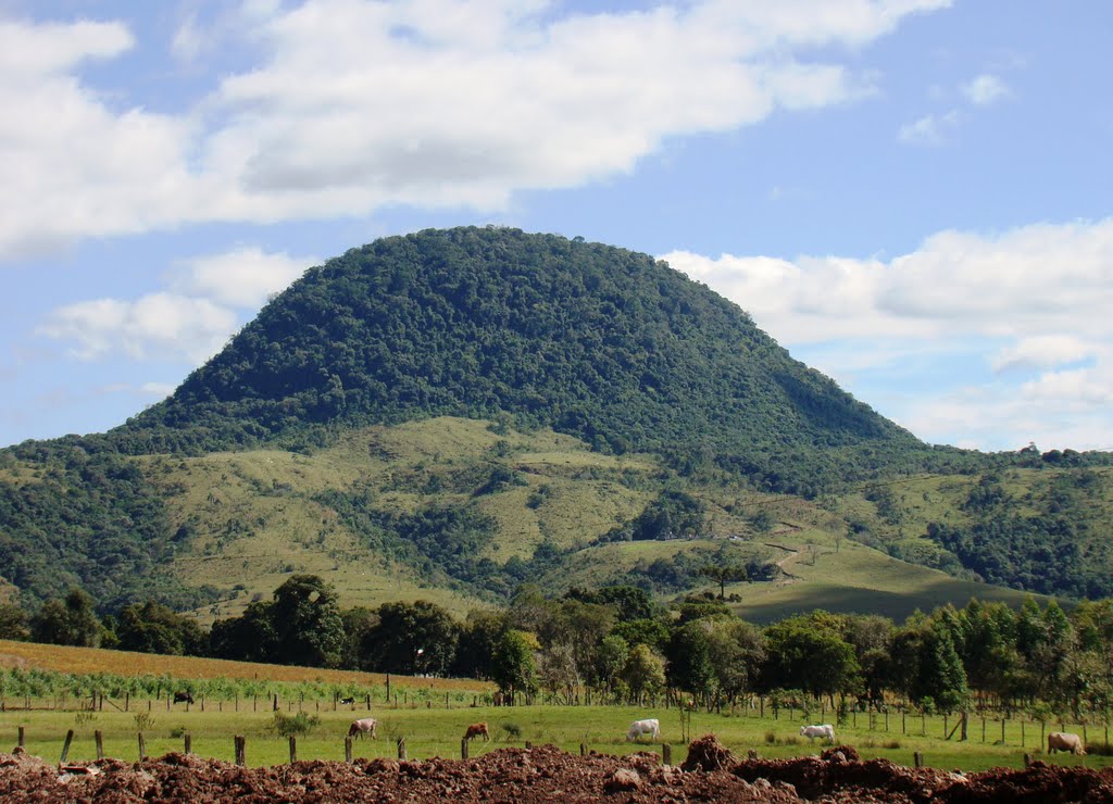 Chapéu do Padre - Gran Sombrero.