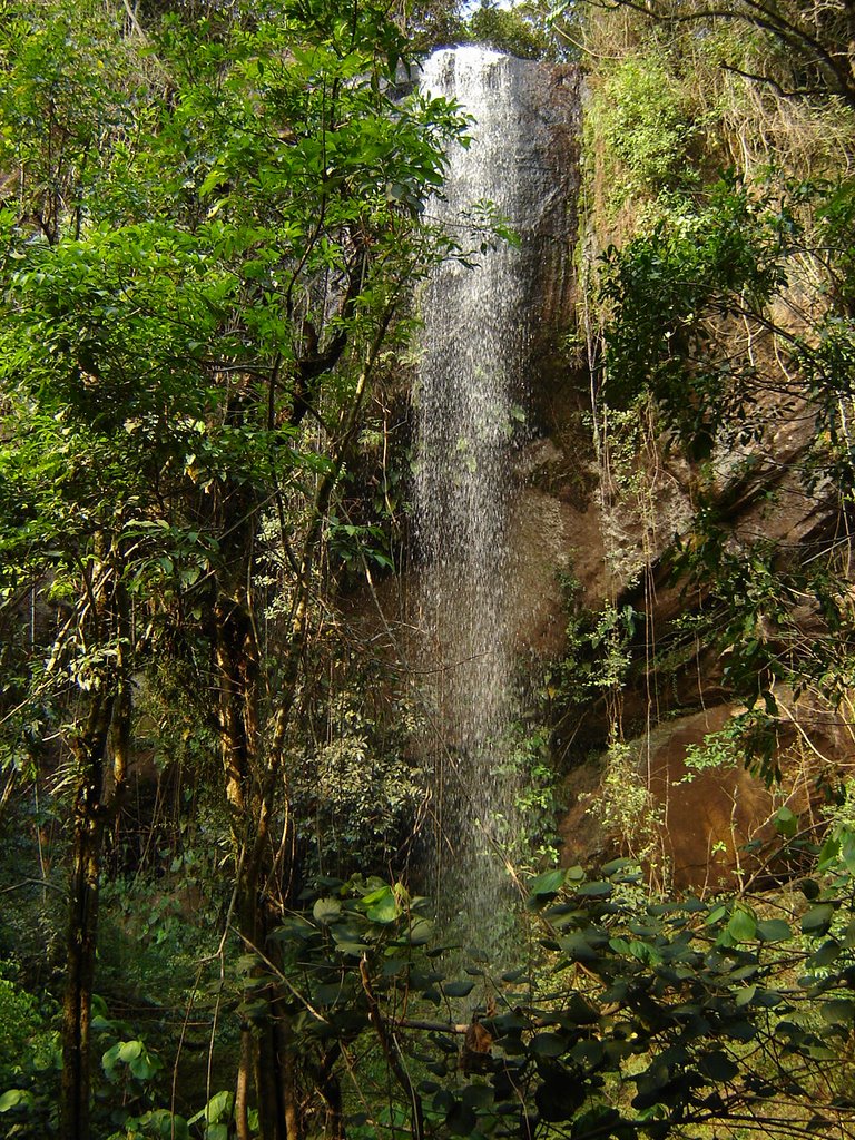 Gotas de Cristal - Faxinal