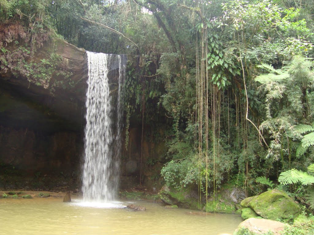 RECANTO DO PINHÃO - FAXINAL PR